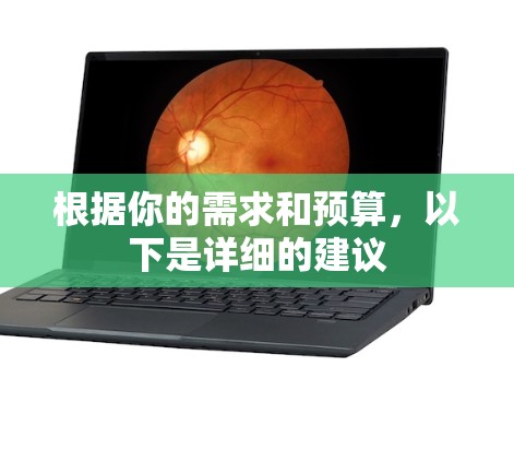 根据你的需求和预算，以下是详细的建议