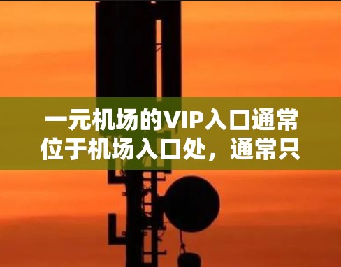 一元机场的VIP入口通常位于机场入口处，通常只有一个入口。以下是一些步骤和建议，帮助你找到一元机场的VIP入口