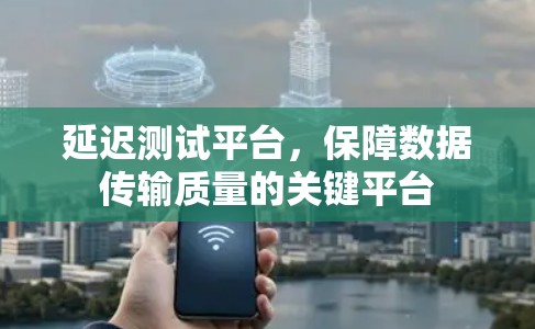 延迟测试平台，保障数据传输质量的关键平台