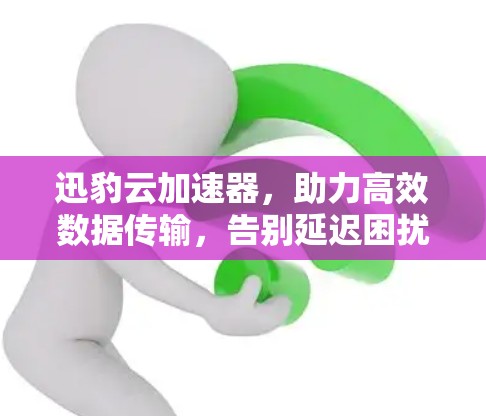 迅豹云加速器，助力高效数据传输，告别延迟困扰