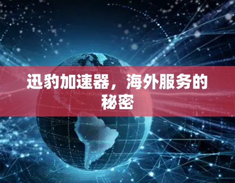 迅豹加速器，海外服务的秘密