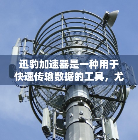 迅豹加速器是一种用于快速传输数据的工具，尤其在需要高带宽和低延迟的高速连接场景中非常有用。如果你需要了解迅豹加速器在高速连接上的性能或应用，可以参考以下内容
