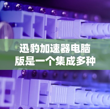 迅豹加速器电脑版是一个集成多种加速功能的软件，旨在帮助用户更快地下载和加载资源。以下是关于迅豹加速器电脑版的详细信息