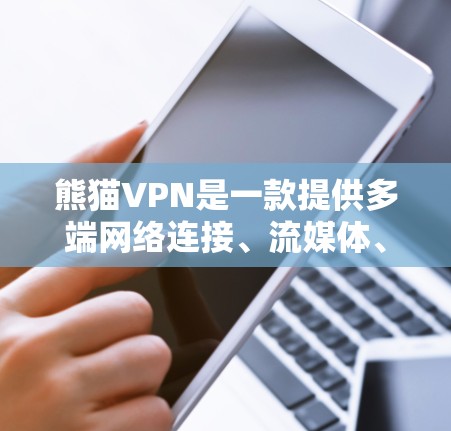 熊猫VPN是一款提供多端网络连接、流媒体、视频通话等功能的网络VPN服务。以下是基于熊猫VPN功能评测的详细分析