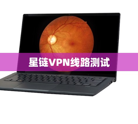 星链VPN线路测试