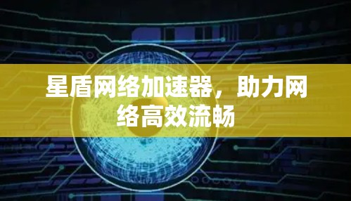 星盾网络加速器，助力网络高效流畅