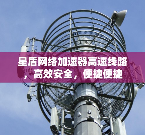 星盾网络加速器高速线路，高效安全，便捷便捷