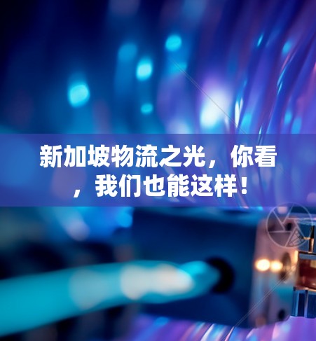 新加坡物流之光，你看，我们也能这样！