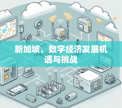 新加坡，数字经济发展机遇与挑战