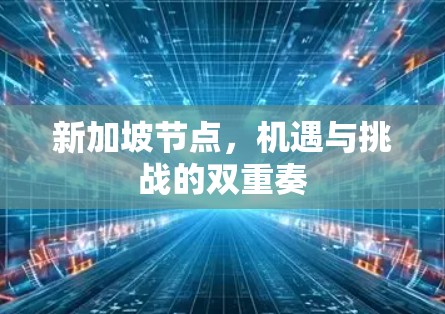 新加坡节点，机遇与挑战的双重奏
