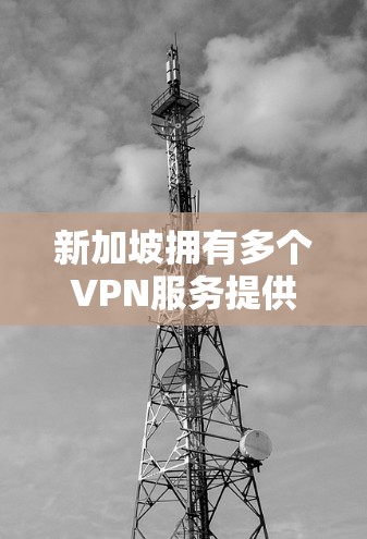 新加坡拥有多个VPN服务提供商，这些服务覆盖了移动用户和本地用户，提供多种连接方式以确保安全和隐私。以下是新加坡主要的VPN公司及其服务特点
