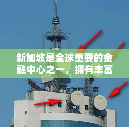 新加坡是全球重要的金融中心之一，拥有丰富的VPN服务器和网络资源。以下是一些新加坡VPN服务器的排行，供您参考