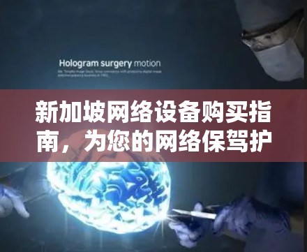 新加坡网络设备购买指南，为您的网络保驾护航