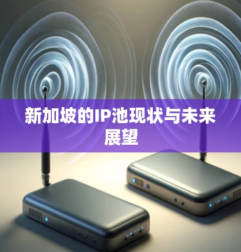 新加坡的IP池现状与未来展望