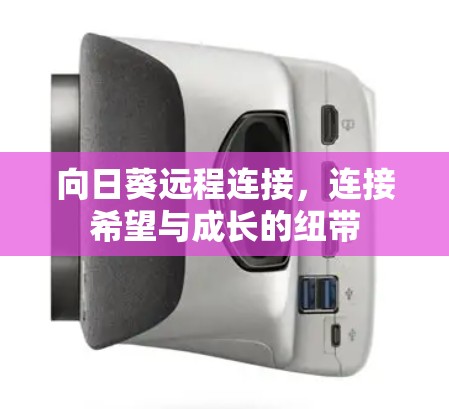 向日葵远程连接，连接希望与成长的纽带