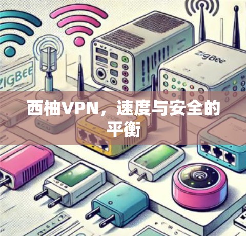 西柚VPN，速度与安全的平衡