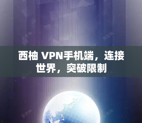 西柚 VPN手机端，连接世界，突破限制