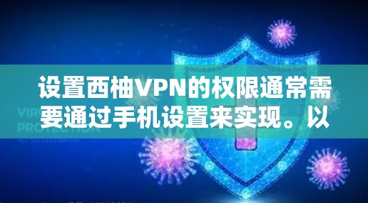 设置西柚VPN的权限通常需要通过手机设置来实现。以下是常见的设置步骤，假设你已经安装了西柚VPN应用