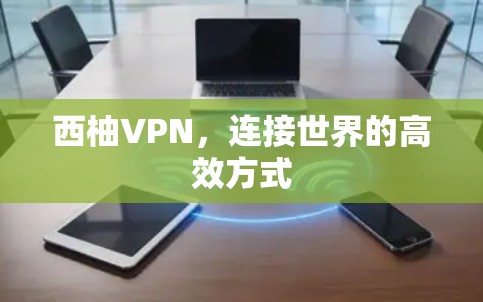 西柚VPN，连接世界的高效方式