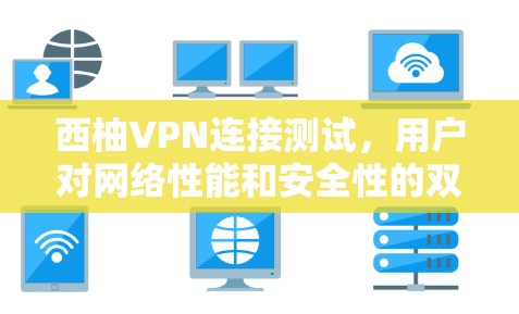 西柚VPN连接测试，用户对网络性能和安全性的双重挑战