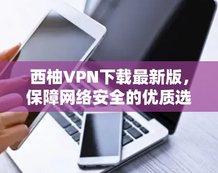 西柚VPN下载最新版，保障网络安全的优质选择