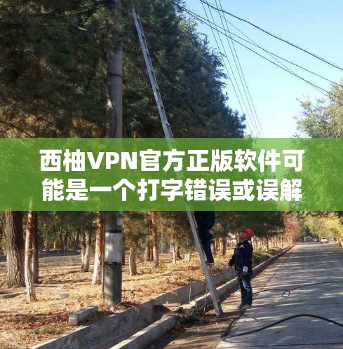 西柚VPN官方正版软件可能是一个打字错误或误解，因为西柚并不是一个常见的网络平台或软件名称。如果您是想寻找一个合法、安全的VPN软件，建议您直接前往官方的VPN网站下载，例如