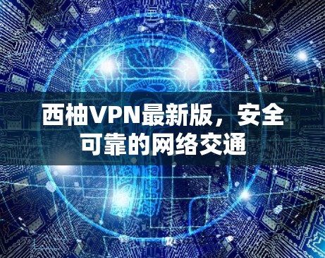 西柚VPN最新版，安全可靠的网络交通