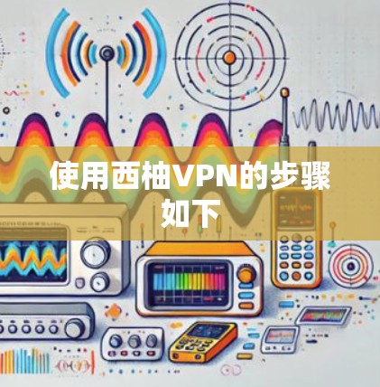 使用西柚VPN的步骤如下