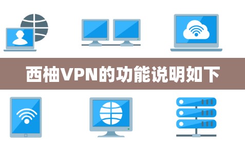 西柚VPN的功能说明如下