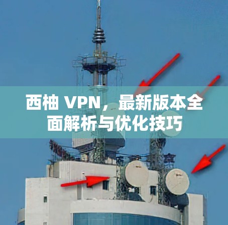 西柚 VPN，最新版本全面解析与优化技巧
