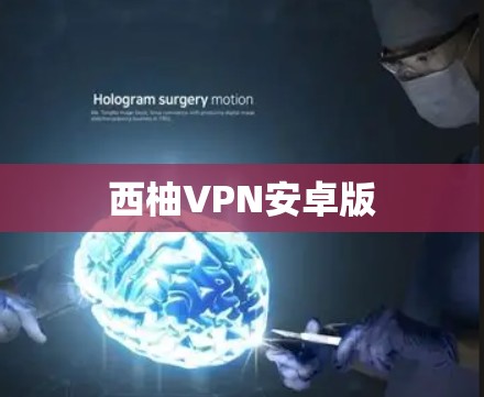 西柚VPN安卓版