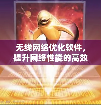 无线网络优化软件，提升网络性能的高效解决方案