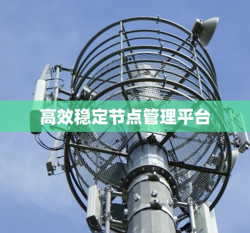 高效稳定节点管理平台