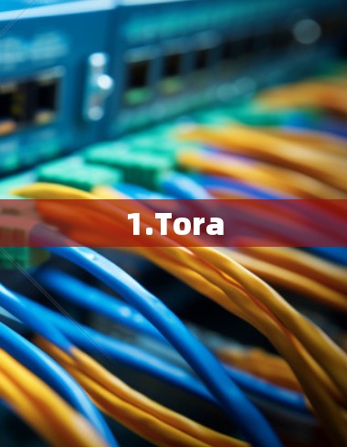 1.Tora