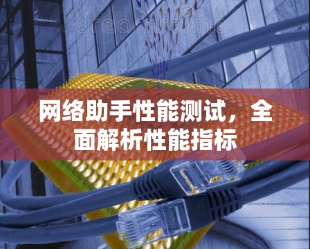 网络助手性能测试，全面解析性能指标