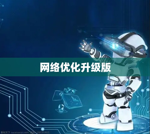 网络优化升级版