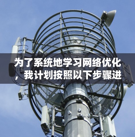 为了系统地学习网络优化，我计划按照以下步骤进行
