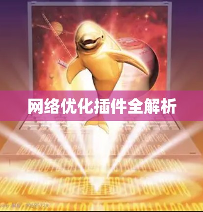 网络优化插件全解析