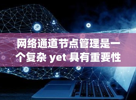 网络通道节点管理是一个复杂 yet 具有重要性的领域，涉及多个维度的实践。以下是对该领域的系统性概述