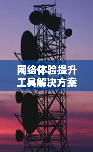 网络体验提升工具解决方案