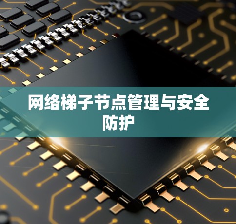 网络梯子节点管理与安全防护