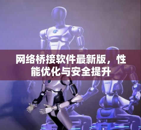 网络桥接软件最新版，性能优化与安全提升