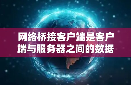 网络桥接客户端是客户端与服务器之间的数据交换中间环节，通过桥接客户端和服务器实现通信。以下是详细的步骤和信息
