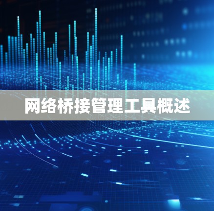 网络桥接管理工具概述