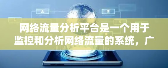 网络流量分析平台是一个用于监控和分析网络流量的系统，广泛应用于企业、研究机构和个人。以下是对其核心概念和功能的详细分析