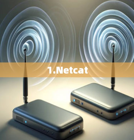 1.Netcat
