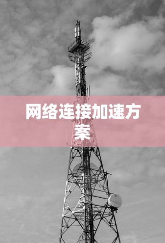 网络连接加速方案