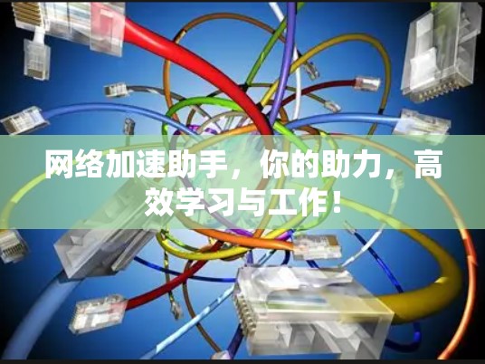 网络加速助手，你的助力，高效学习与工作！