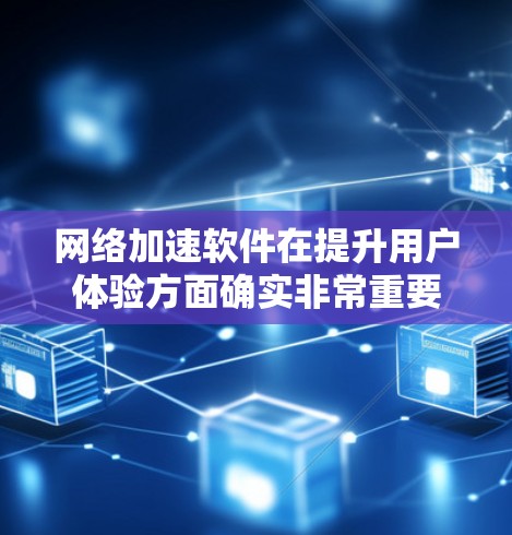 网络加速软件在提升用户体验方面确实非常重要，尤其是针对不同用户需求的定制加速软件。以下是对这些软件的分类和评价，帮助用户根据实际情况选择合适的加速工具