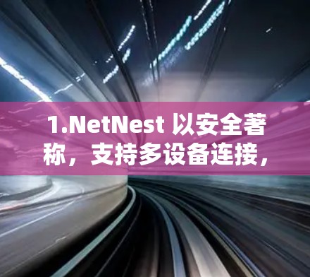 1.NetNest 以安全著称，支持多设备连接，适合需要高性能的用户
